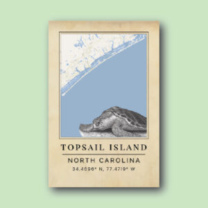 Topsail Beach Turtle Map
